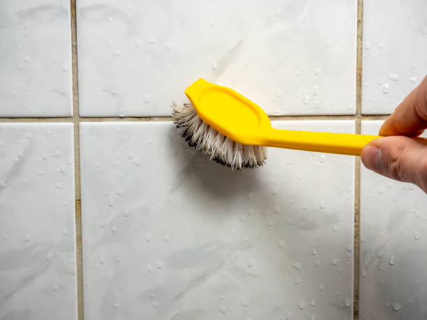 Best Mold Removal Process  in Man, WV